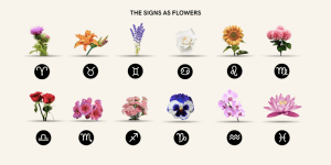 Gifting Flowers by Zodiac Signs